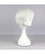 Tokyo Ghoul Ken Kaneki Heat Resistant Fiber Silver Short Anime Cosplay Wigs