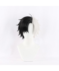 Wind Breaker Haruka Sakura Styled Cosplay Wig