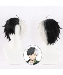 Wind Breaker Haruka Sakura Styled Cosplay Wig