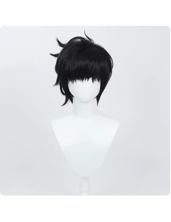 solo leveling Sung Jinwoo Black anime Cosplay Wig