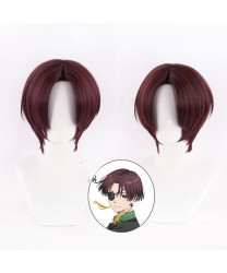 Wind Breaker Hayato Suou Modeling Cosplay Wigs