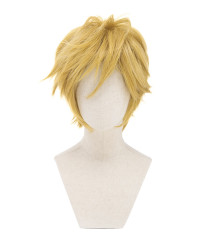 The Legend of Zelda Link Short Game Cosplay Wig