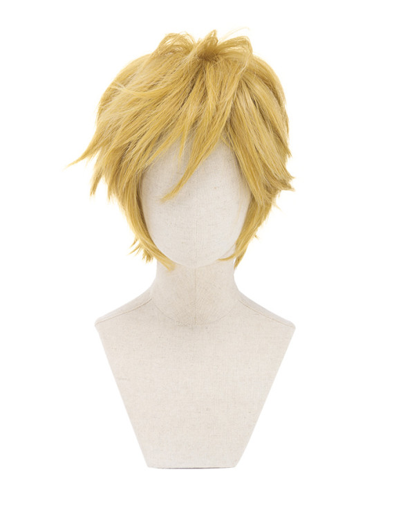 The Legend of Zelda Link Short Game Cosplay Wig