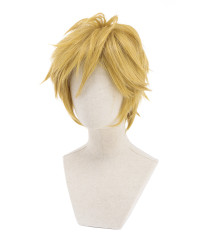 The Legend of Zelda Link Short Game Cosplay Wig