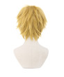 The Legend of Zelda Link Short Game Cosplay Wig