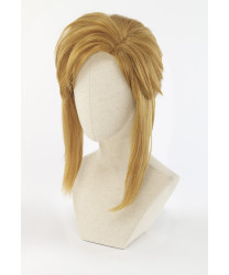 The Legend of Zelda Breath of the Wild Link Game Cosplay Wig