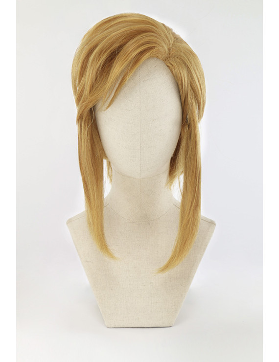 The Legend of Zelda Breath of the Wild Link Game Cosplay Wig