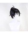 Cosplay Wigs for school days Itou Makoto