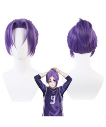 Blue Lock Reo Mikage Purple Cosplay Wig