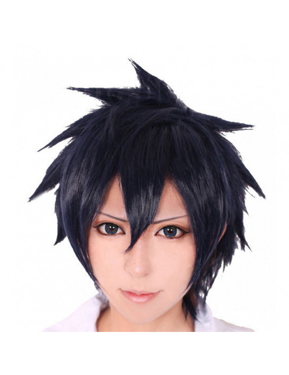 Fairy Tail Gray Fullbuster Blue Anime Styled Cosplay Wig