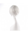 Tokyo Ghoul Cosplay Ken Kaneki Cosplay Hair Wig