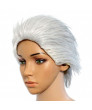 The Game Devil May Cry 4 Vergil Short Silver Cosplay Hair Wig