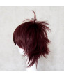 Vampire Knight Shiki Senri Wine Red Cosplay Hair Wig