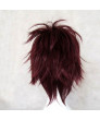Vampire Knight Shiki Senri Wine Red Cosplay Hair Wig