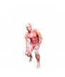 Attack on Titan Colossal Titan Lycra Zentai Cosplay Costume