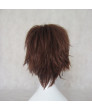 Prince Of Tennis Fuji Syusuke Cosplay Wig