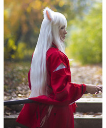 Inuyasha InuYasha Wig Long Straight White Cosplay Wig with Ears