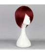 One Piece Shanks Black Short Straight Cosplay Wig