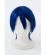 Uta no Prince-sama HIjirikawa Masato Cosplay Wig