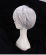 Fire Emblem Awakening Robin Cosplay Wig