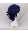 Fire Emblem Awakening Chrom Cosplay Wig