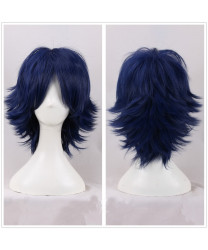 Fire Emblem Awakening Chrom Cosplay Wig