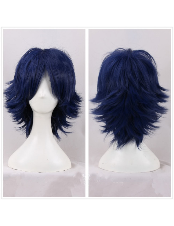 Fire Emblem Awakening Chrom Cosplay Wig