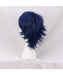 Fire Emblem Awakening Chrom Cosplay Wig