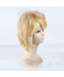 DIABOLIK LOVERS Sakamaki shu Cosplay Wig