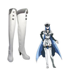 Akame ga Kill! Esdeath Cosplay Boots Cosplay Shoes