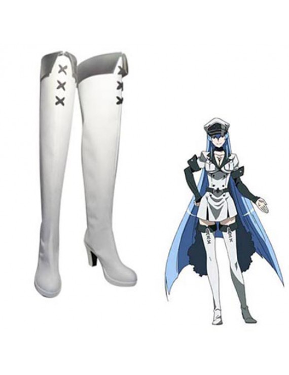 Akame ga Kill! Esdeath Cosplay Boots Cosplay Shoes