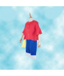 One Piece Monkey D. Luffy Summer Cosplay Costume