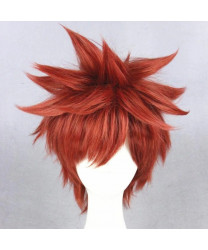 Fate Stay Night Shirou Emiya Brown Short Cosplay Wig