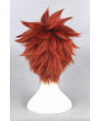 Fate Stay Night Shirou Emiya Brown Short Cosplay Wig