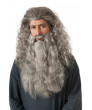 Sensei Wig Beard and Eyebrows Set Costume Wig