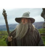 Harry Potter Albus Percival Wulfric Brian Dumbledore Cosplay Costume