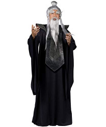 Sensei Master Adult Costume