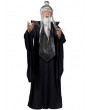 Sensei Master Adult Costume