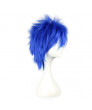Fairy Tail Mystogan Short Heat Resistant Fiber Anime Cosplay Wig