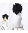 The Promised Neverland Ray Cosplay Wig