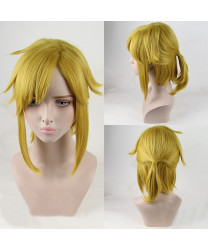 The Legend of Zelda Link Brown Cosplay Wig