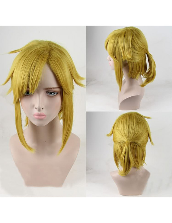 The Legend of Zelda Link Brown Cosplay Wig