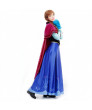 Anna Frozen Cosplay Costume