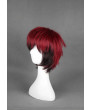 Kuroko No Basketball Kagami Taiga Cosplay Wig