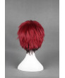 Kuroko No Basketball Kagami Taiga Cosplay Wig