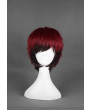 Kuroko No Basketball Kagami Taiga Cosplay Wig