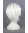 Fate Stay Night Shirou Emiya Archer Cosplay Hair Wig