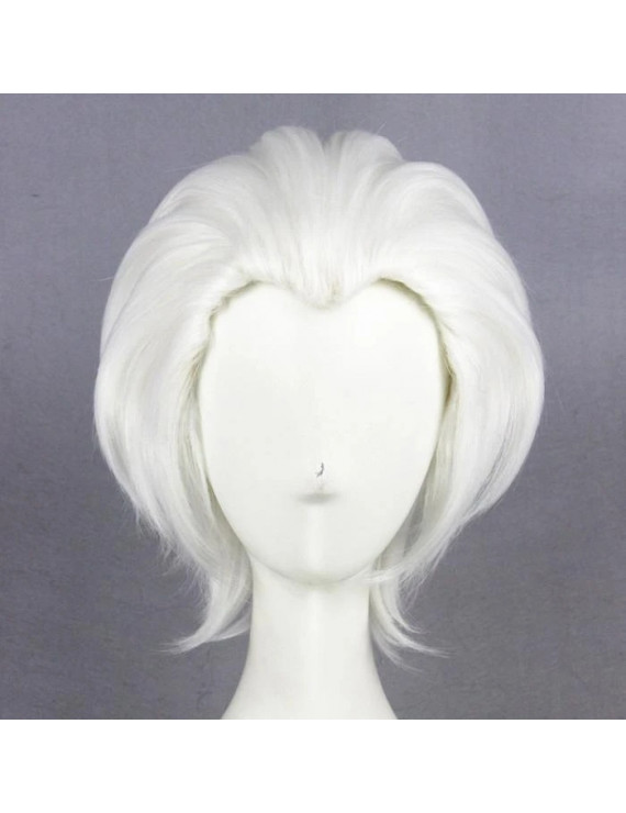 Fate Stay Night Shirou Emiya Archer Cosplay Hair Wig