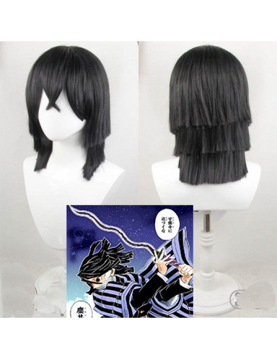 Demon Slayer Kimetsu no Yaiba Iguro Obanai Cosplay Wig