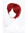 Zero kara Hajimeru Isekai Seikatsu Reinhard van Astrea Cosplay Wig